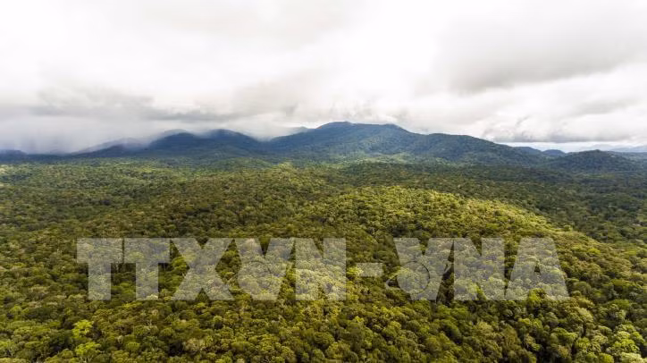 UNESCO công nhận Công viên Địa chất Đắk Nông là Công viên Địa chất Toàn cầu ảnh 3
