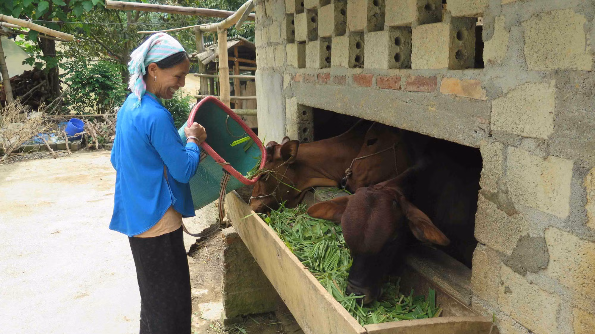Hỗ trợ đồng bào dân tộc vượt khó do ảnh hưởng của dịch COVID-19 ảnh 3