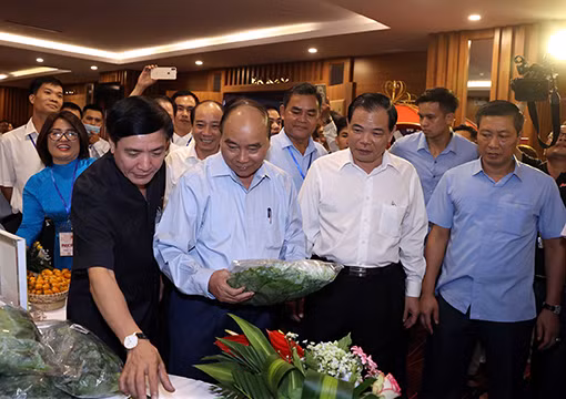 Tạo động lực thúc đẩy nông nghiệp, nông thôn Miền Trung - Tây Nguyên cất cánh ảnh 1