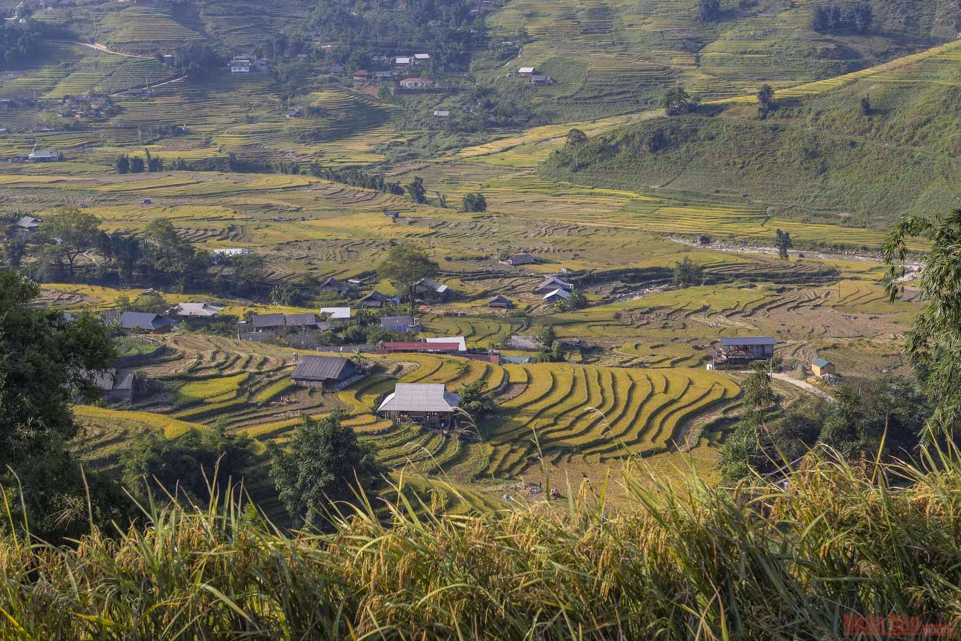 Mường Hoa mùa gặt ảnh 9