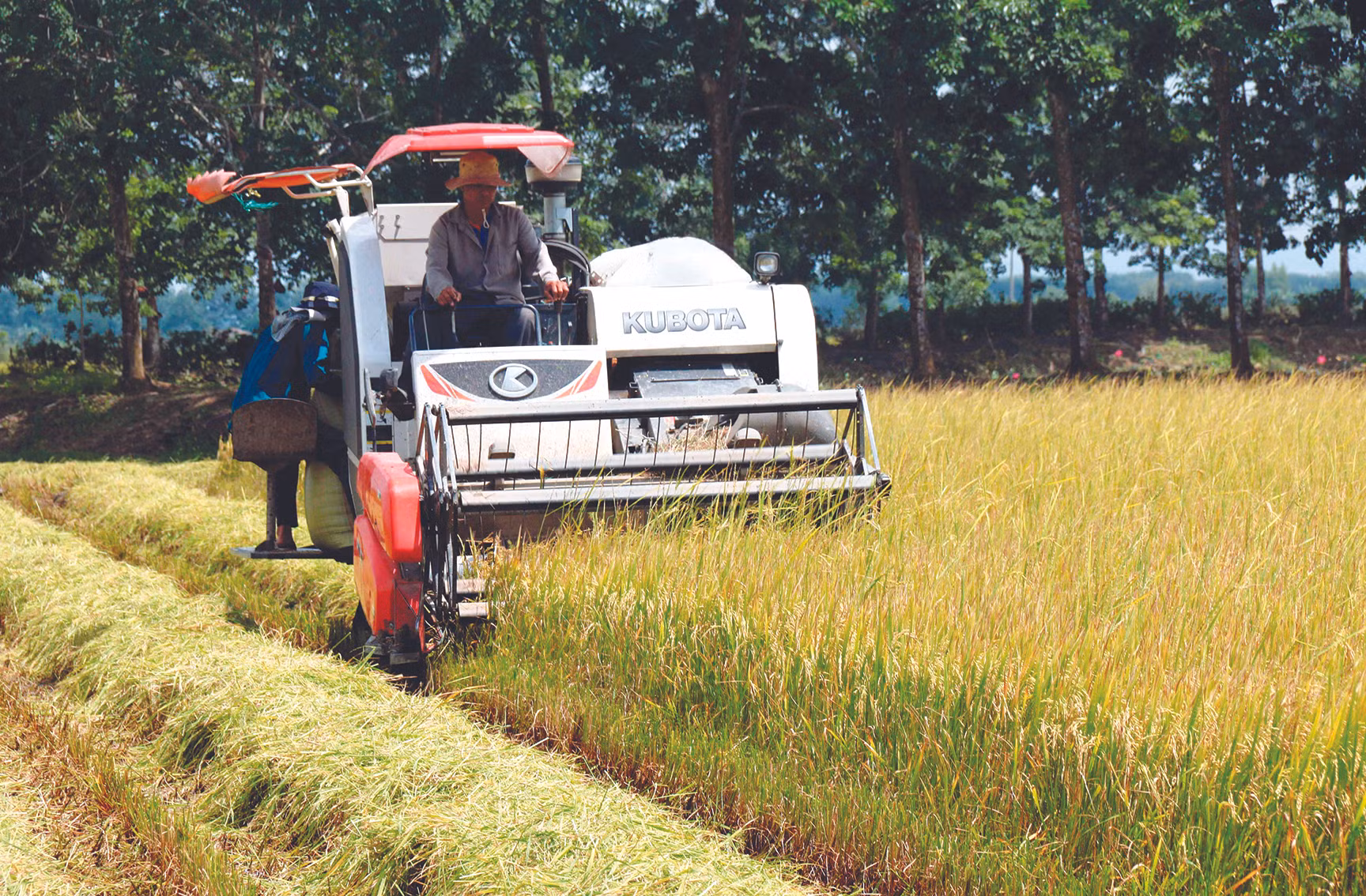 Bình Thuận nâng cao đời sống vùng đồng bào dân tộc ảnh 2