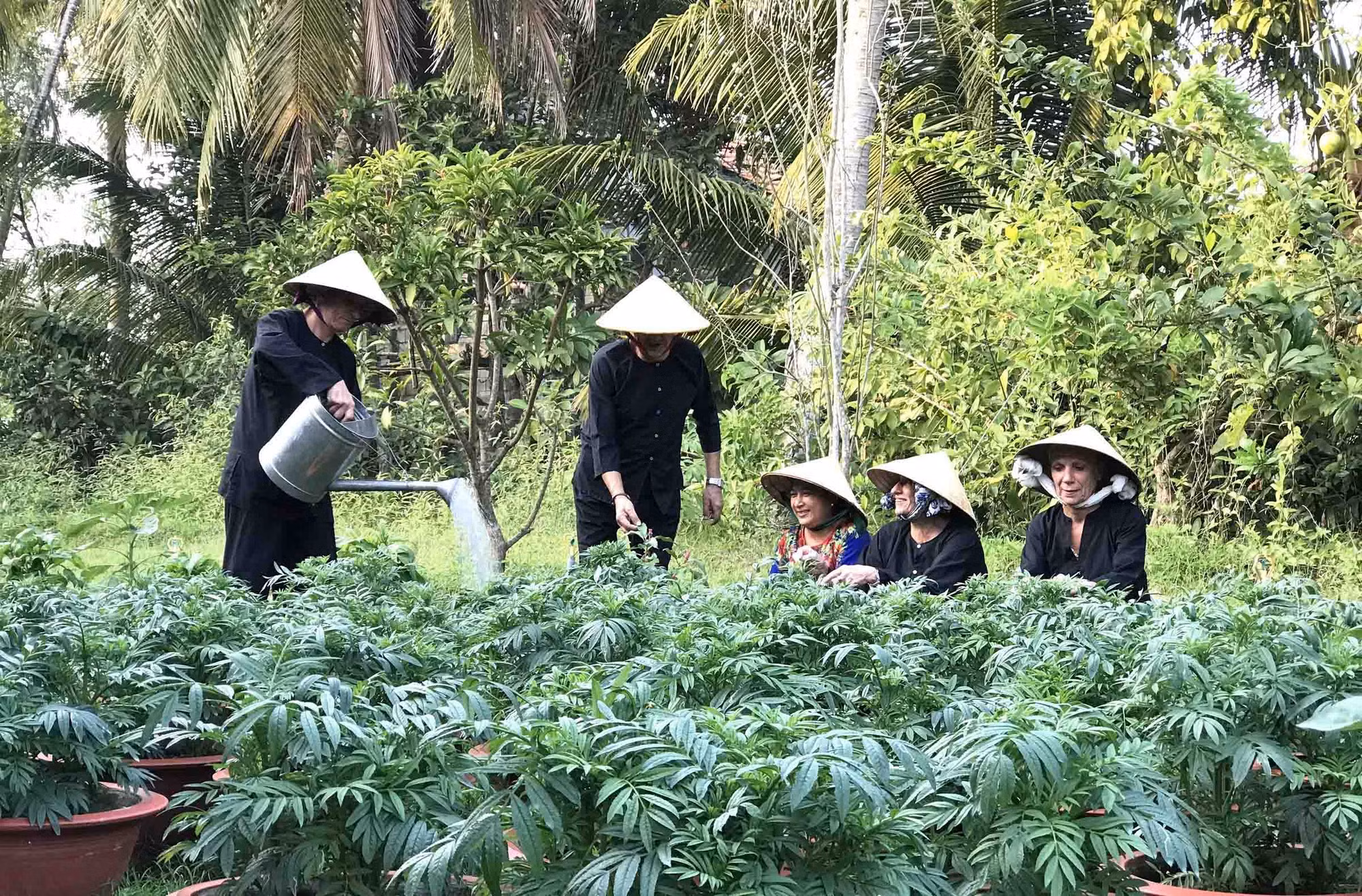 Du lịch Vĩnh Long hướng tới trở thành ngành kinh tế mũi nhọn ảnh 3