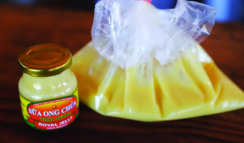 Phương pháp lấy sữa ong chúa ảnh 3