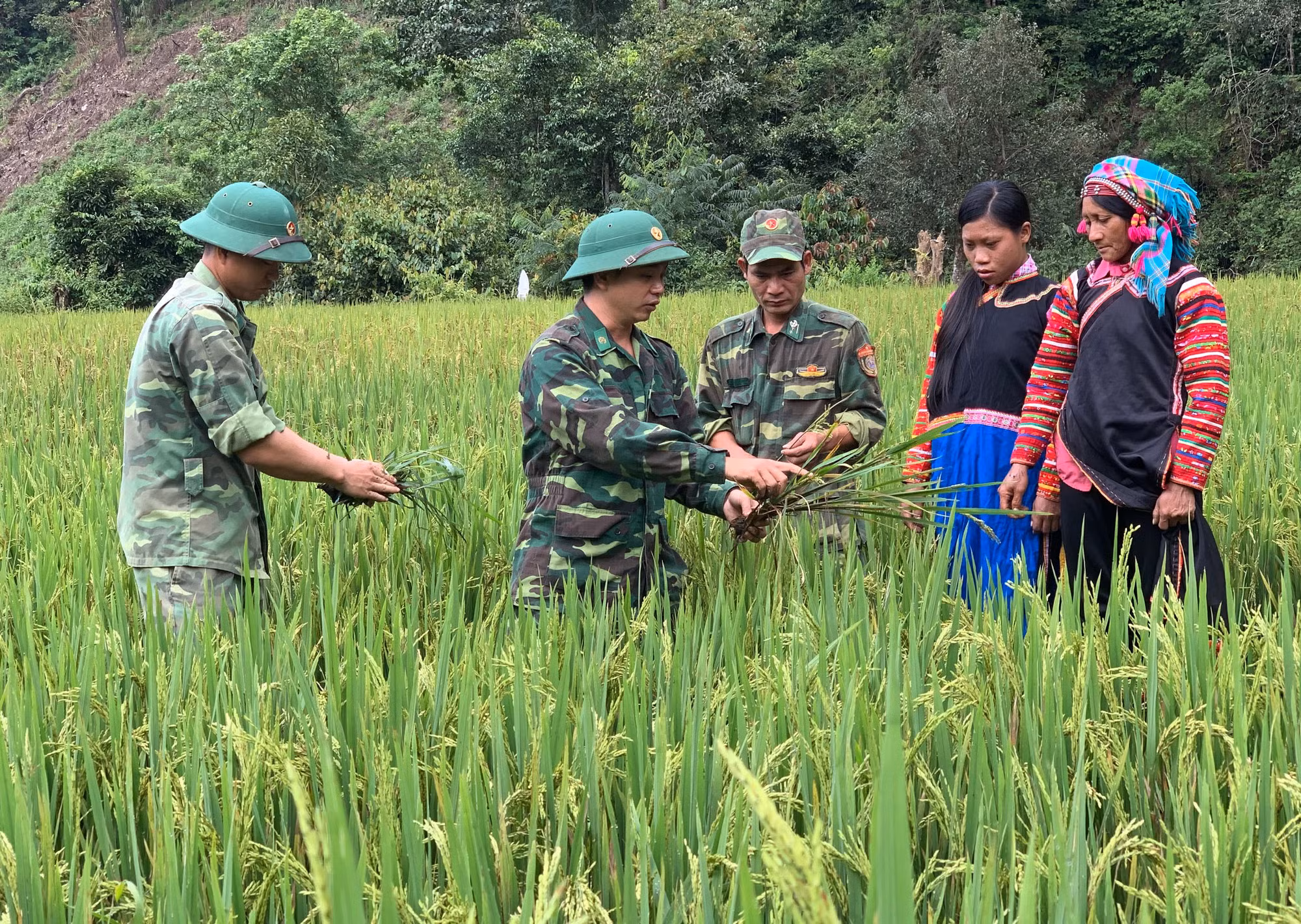Đòn bẩy giúp đồng bào vùng biên thoát nghèo (Bài 1) ảnh 3