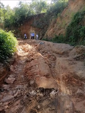 Phản hồi thông tin TTXVN: Đề xuất phương án đầu tư tuyến đường đến làng Đê Kôn ảnh 1