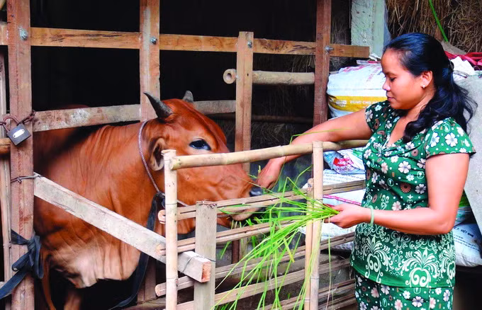 Trà Vinh tập trung nguồn lực giảm nghèo vùng đồng bào Khmer ảnh 8