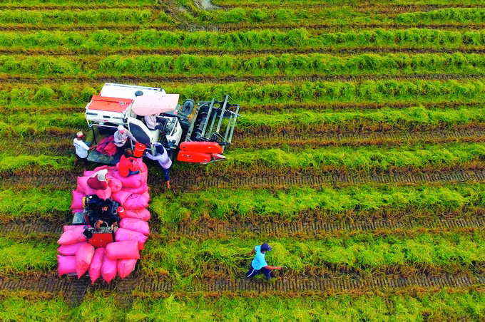 Trà Vinh tập trung nguồn lực giảm nghèo vùng đồng bào Khmer ảnh 5