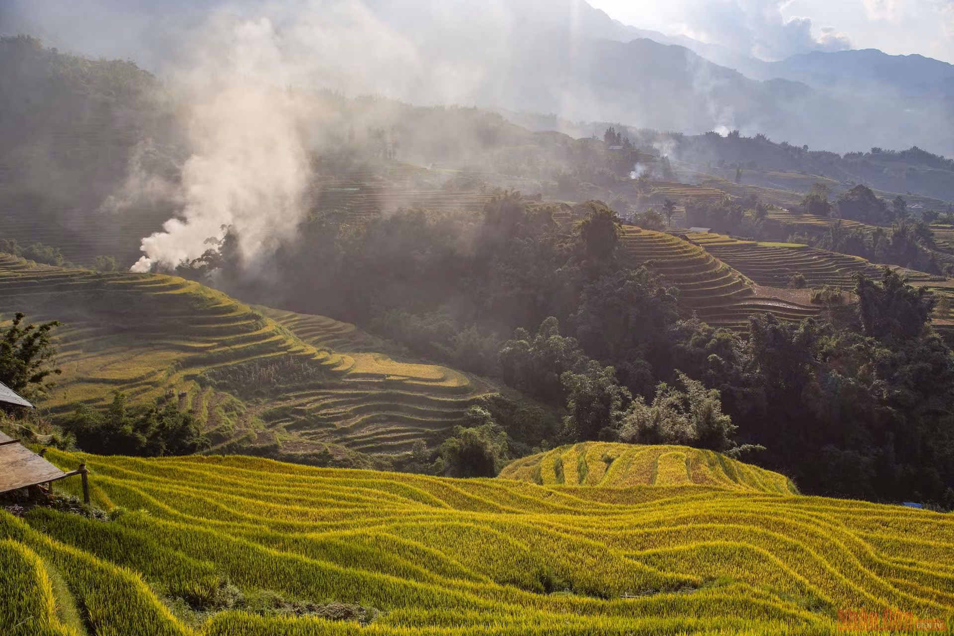 Mường Hoa mùa gặt ảnh 2
