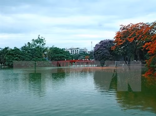 Ảnh minh họa - TTXVN