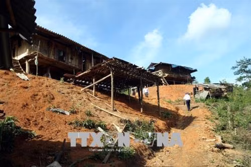 Các hộ gia đình chặt cây, phát cỏ làm nhà phá vỡ cảnh quan ngay sau cụm di tích. Ảnh: Phan Tuấn Anh - TTXVN