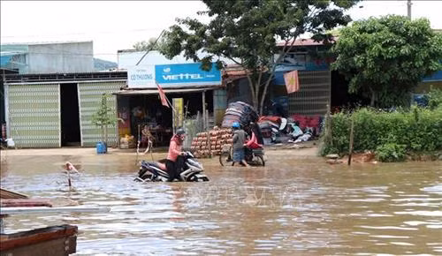 Cảnh ngập trong trưa ngày 19/6/2019 tại thôn Ngọc Hiệp xã Đăk Dục huyện Ngọc Hồi tỉnh Kon Tum. Ảnh: TTXVN