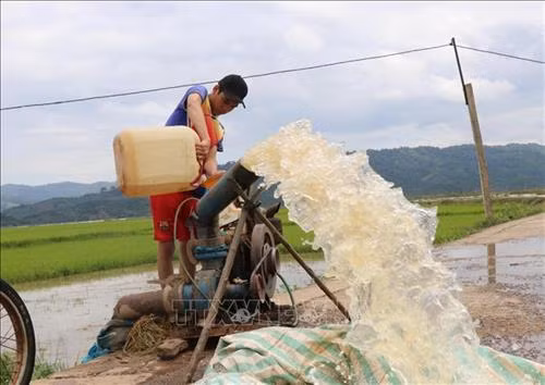 Người dân nỗ lực bơm nước ra khỏi đồng ruộng để chống úng. Ảnh: Tuấn Anh – TTXVN