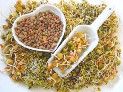 Lợi ích của rau mầm ảnh 1