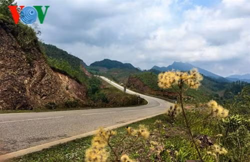 Cảnh vật hoang sơ khiến con đường vào Bắc Phong Sinh càng thơ mộng