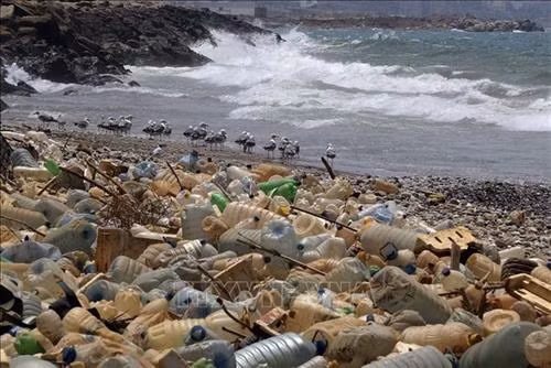 Rác thải nhựa trôi dạt vào bờ biển ở Ouzai, phía nam Beirut, Liban ngày 19/7/2018. Ảnh: AFP/ TTXVN