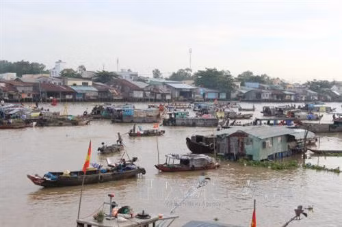 Một góc chợ nổi Cái Răng. Ảnh: Thanh Sang-TTXVN