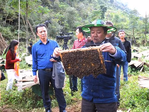 Mô hình nuôi ong mật Bạc hà của bà con dân tộc thiểu số ở Cao nguyên đá Đồng Văn, Hà Giang. Ảnh: Hồng Cừ - TTXVN phát
