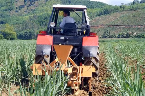 Máy trồng mía, tại nhà máy đường An Khê. Ảnh: Nguồn baomoi.com