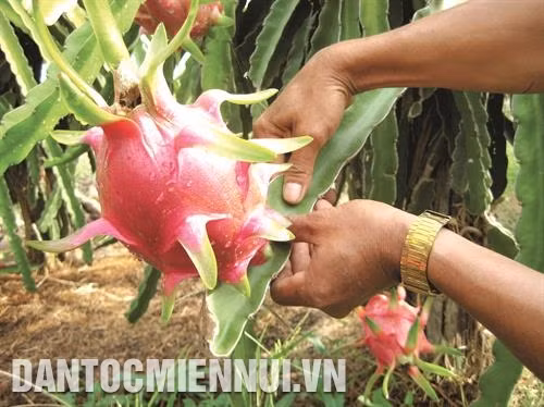 Mô hình liên kết "4 nhà" tạo sự đồng bộ trong ứng dụng khoa học - kỹ thuật