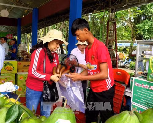 Khách hàng mua rau sạch tại Hội chợ. Ảnh: Hồng Nhung - TTXVN