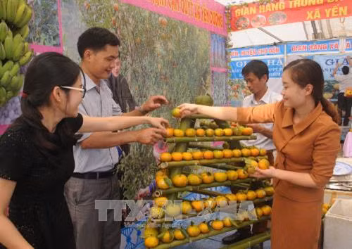 Các đội thi trưng bày sản phẩm. Ảnh: Vũ Hoàng Giang – TTXVN