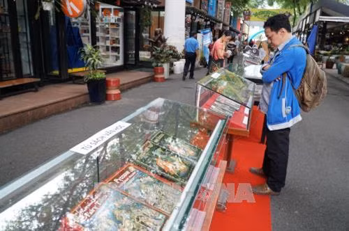 Người dân tham quan khu trưng bày sách Nga. Ảnh: Phương Vy-TTXVN