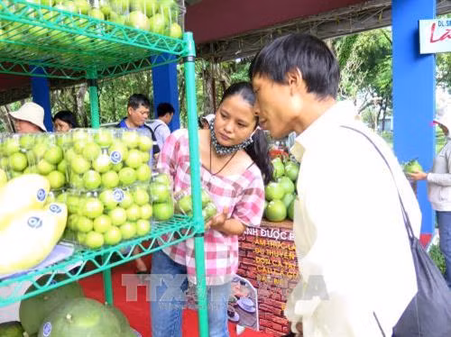 Khách hàng mua rau sạch tại Hội chợ. Ảnh: Hồng Nhung - TTXVN