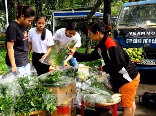 Khách hàng mua rau sạch tại Hội chợ. Ảnh: Hồng Nhung - TTXVN