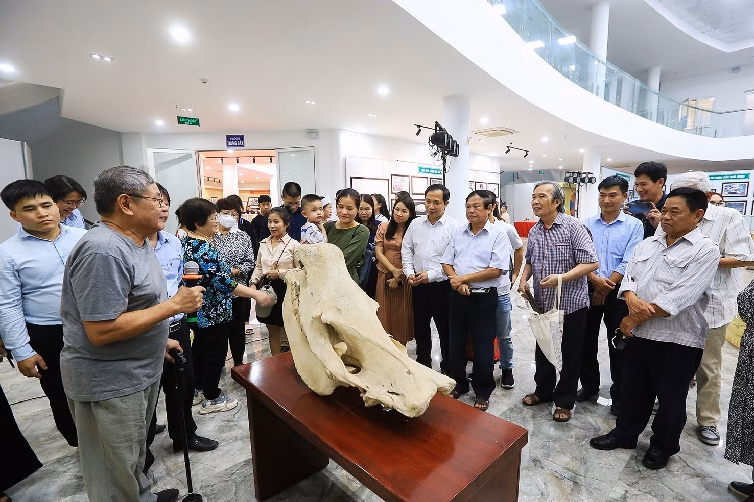 Triển lãm “Văn hóa Hòa Bình trên đất Hòa Bình” ảnh 2 Triển lãm “Văn hóa Hòa Bình trên đất Hòa Bình” ảnh 2