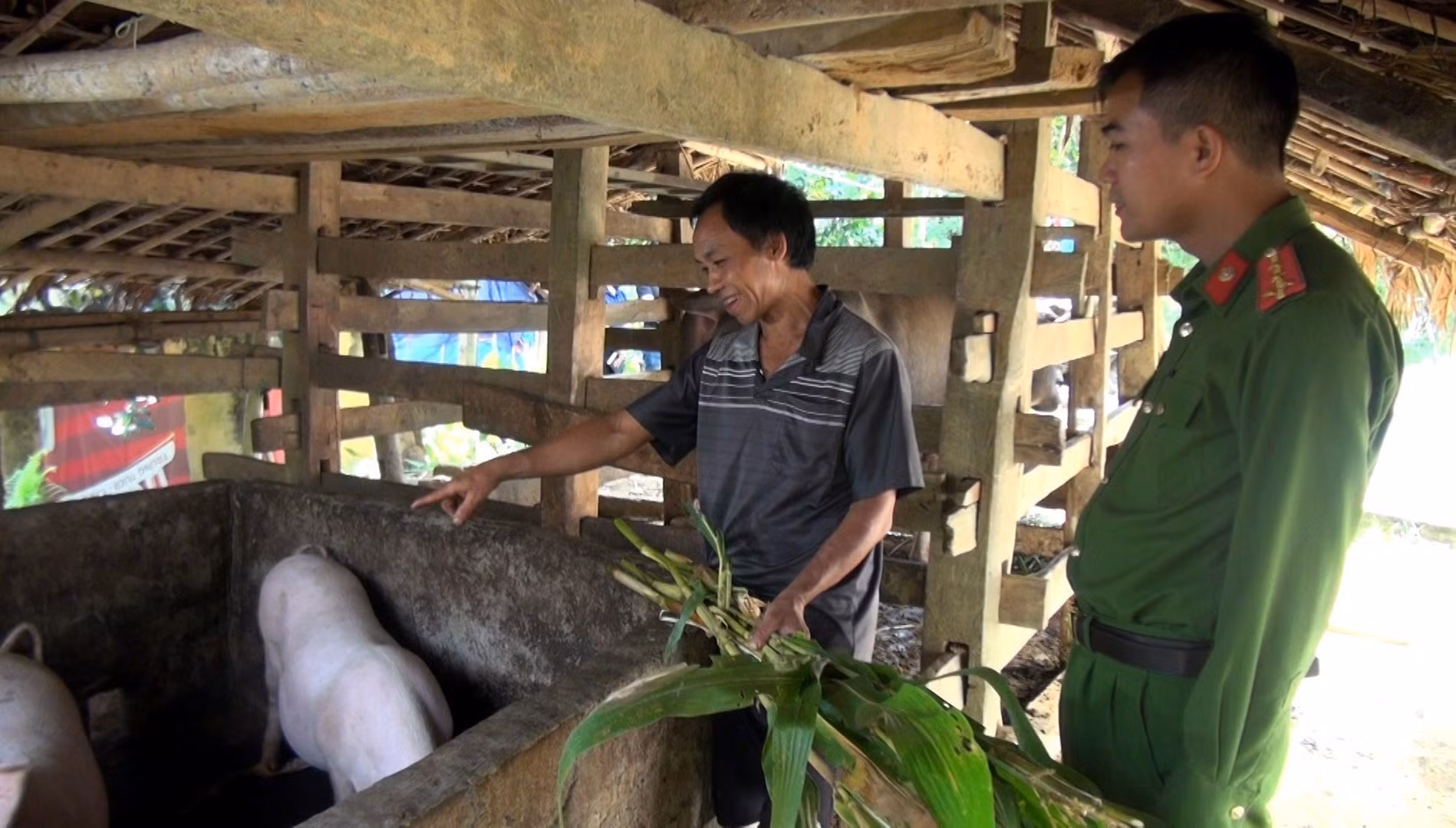 Bình yên trên bản Mông vùng cao Tuyên Quang ảnh 3