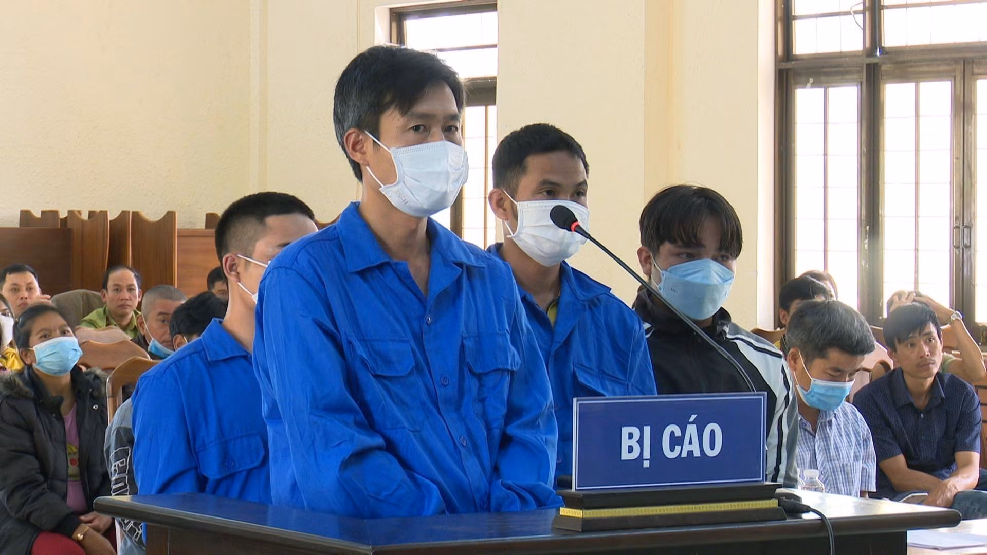 Án phạt thích đáng cho các đối tượng phá rừng tại huyện Kon Plông, Kon Tum ảnh 2