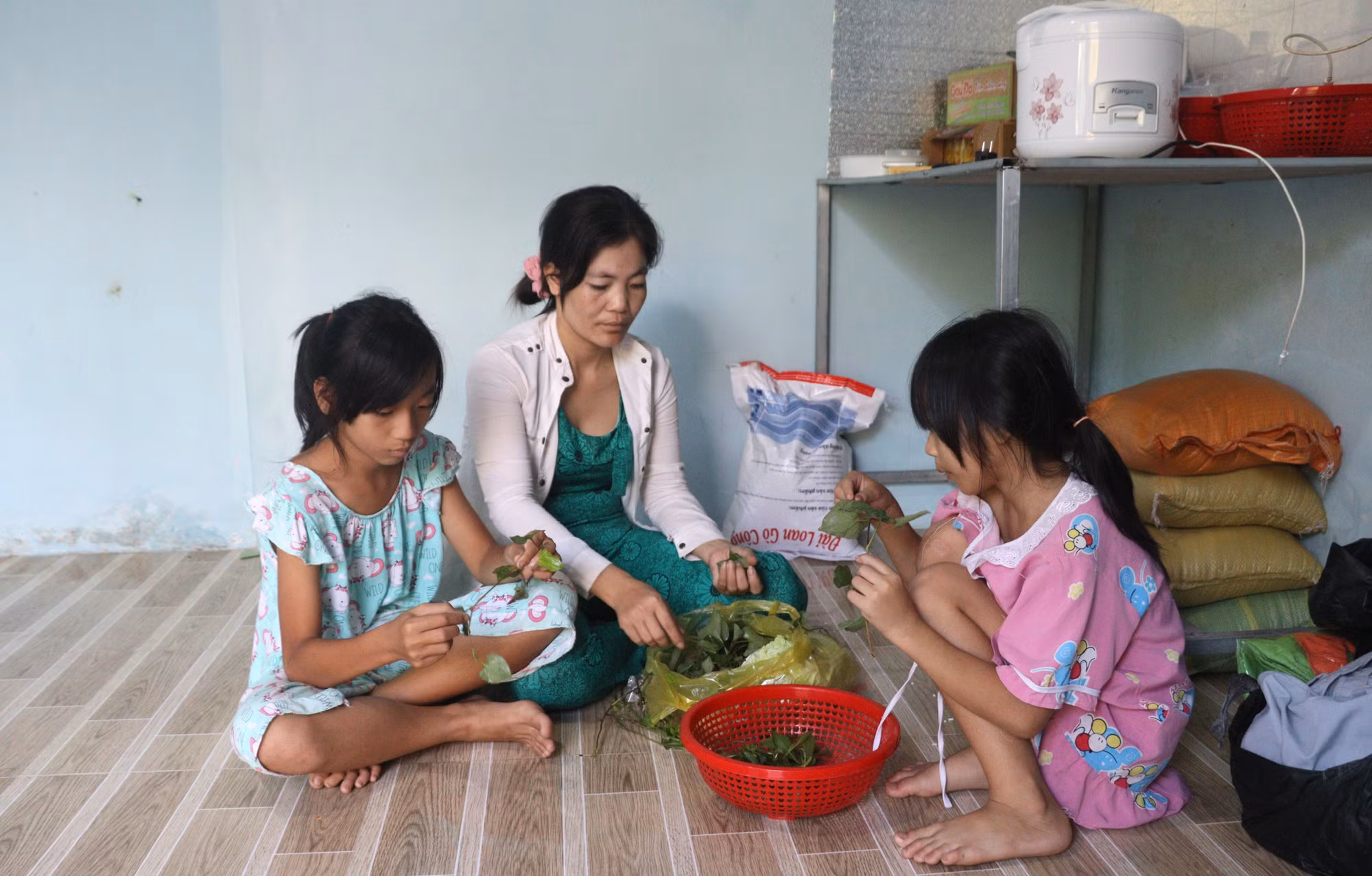 Vĩnh Long: Hỗ trợ người dân ổn định cuộc sống sau vụ sạt lở bờ sông Cổ Chiên ảnh 1