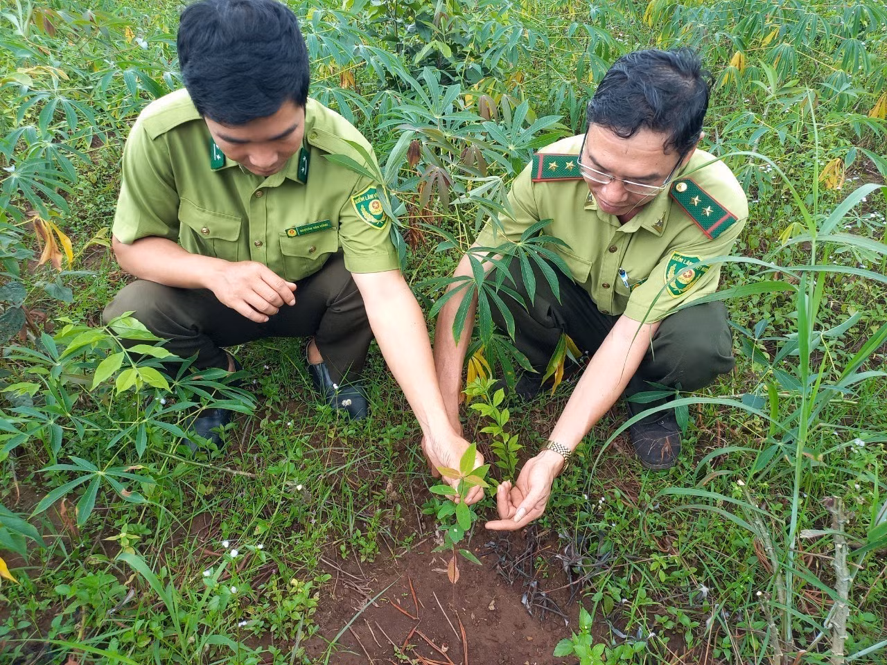 Kon Tum hướng tới quản lý, bảo vệ và phát triển rừng bền vững ảnh 2