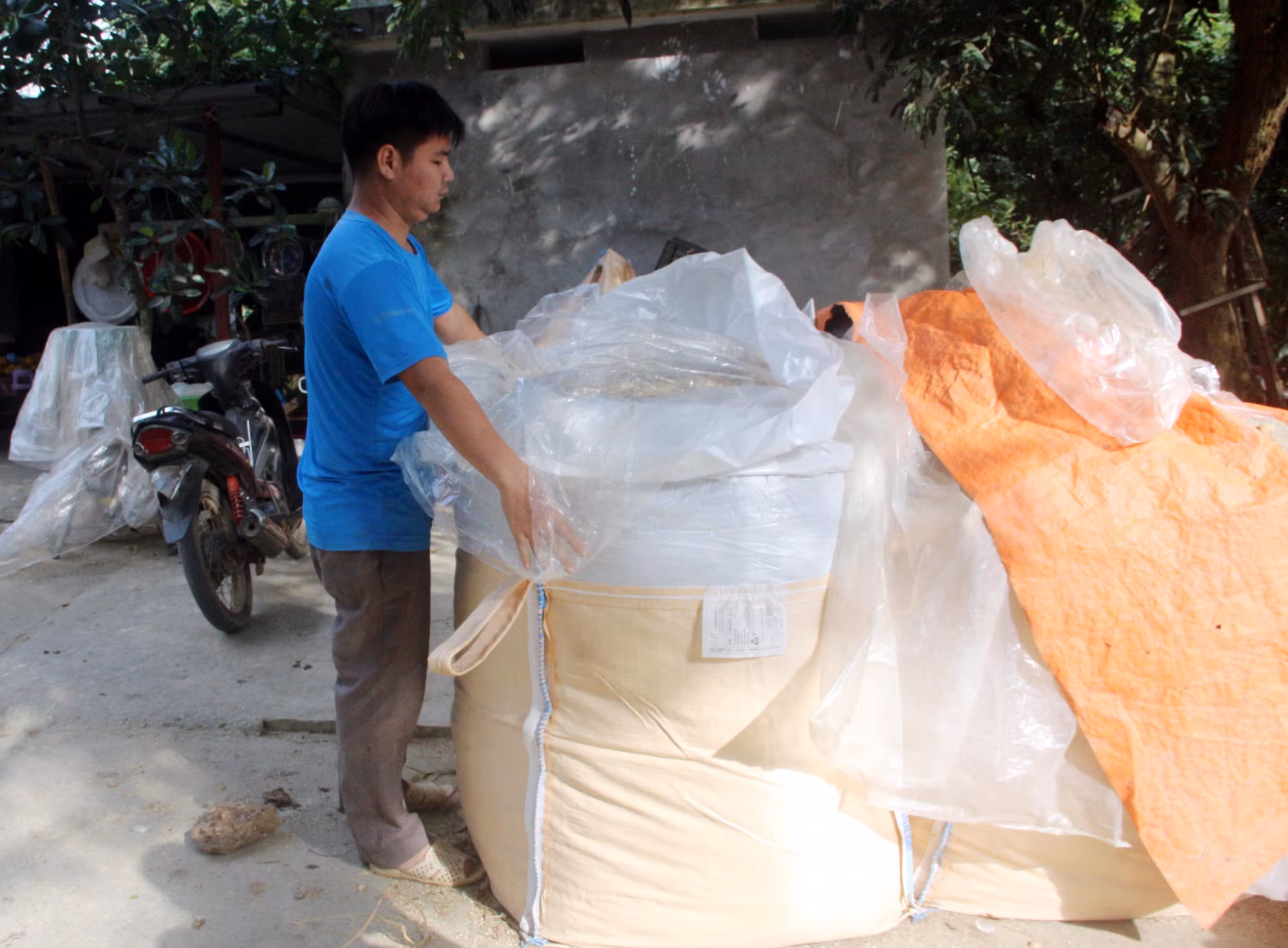Tuyên Quang chủ động phòng chống đói, rét cho vật nuôi ảnh 2