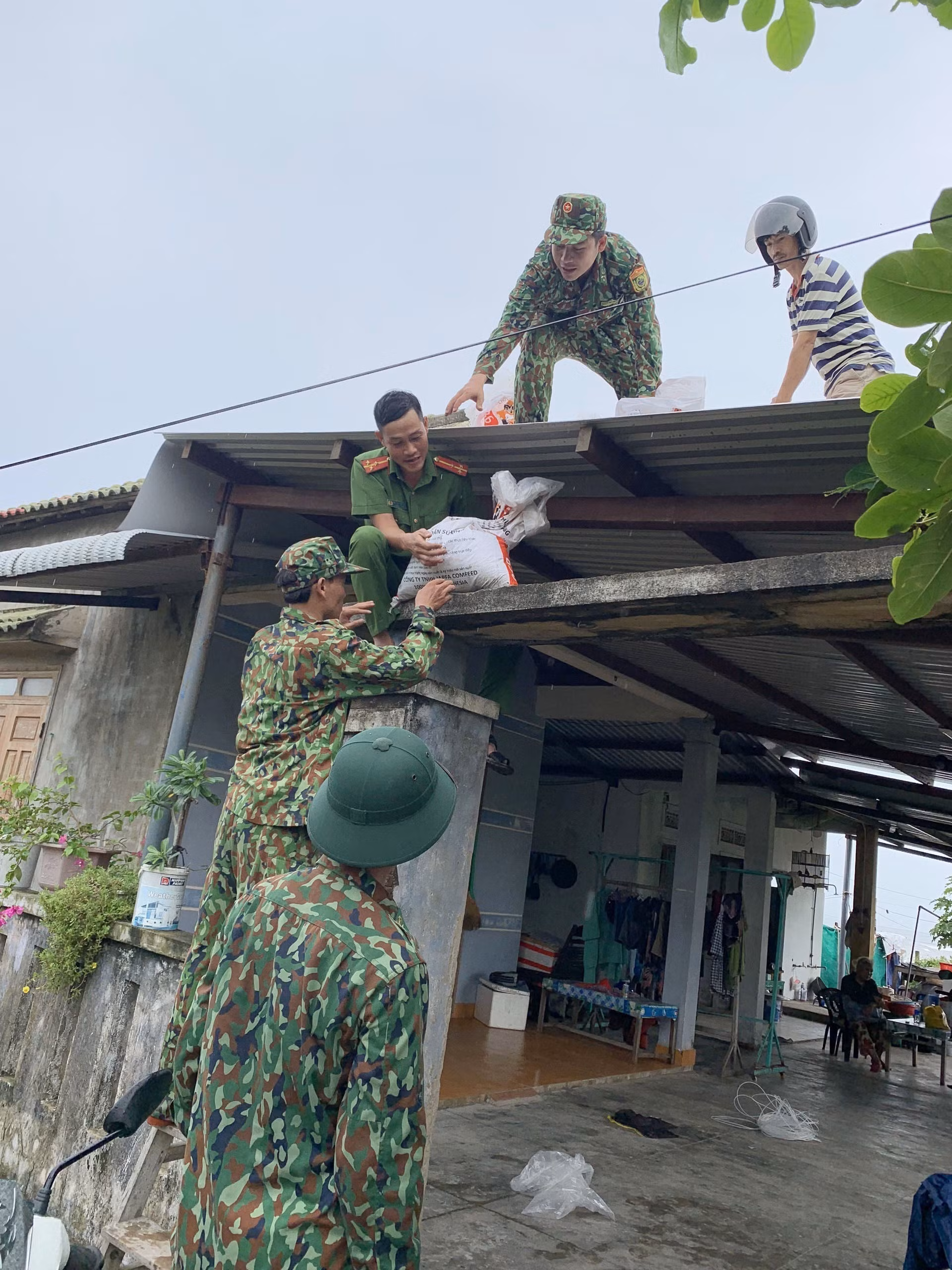 Bão số 4: Quảng Nam đưa người già, phụ nữ, trẻ em xã đảo Tam Hải vào đất liền tránh bão ảnh 1