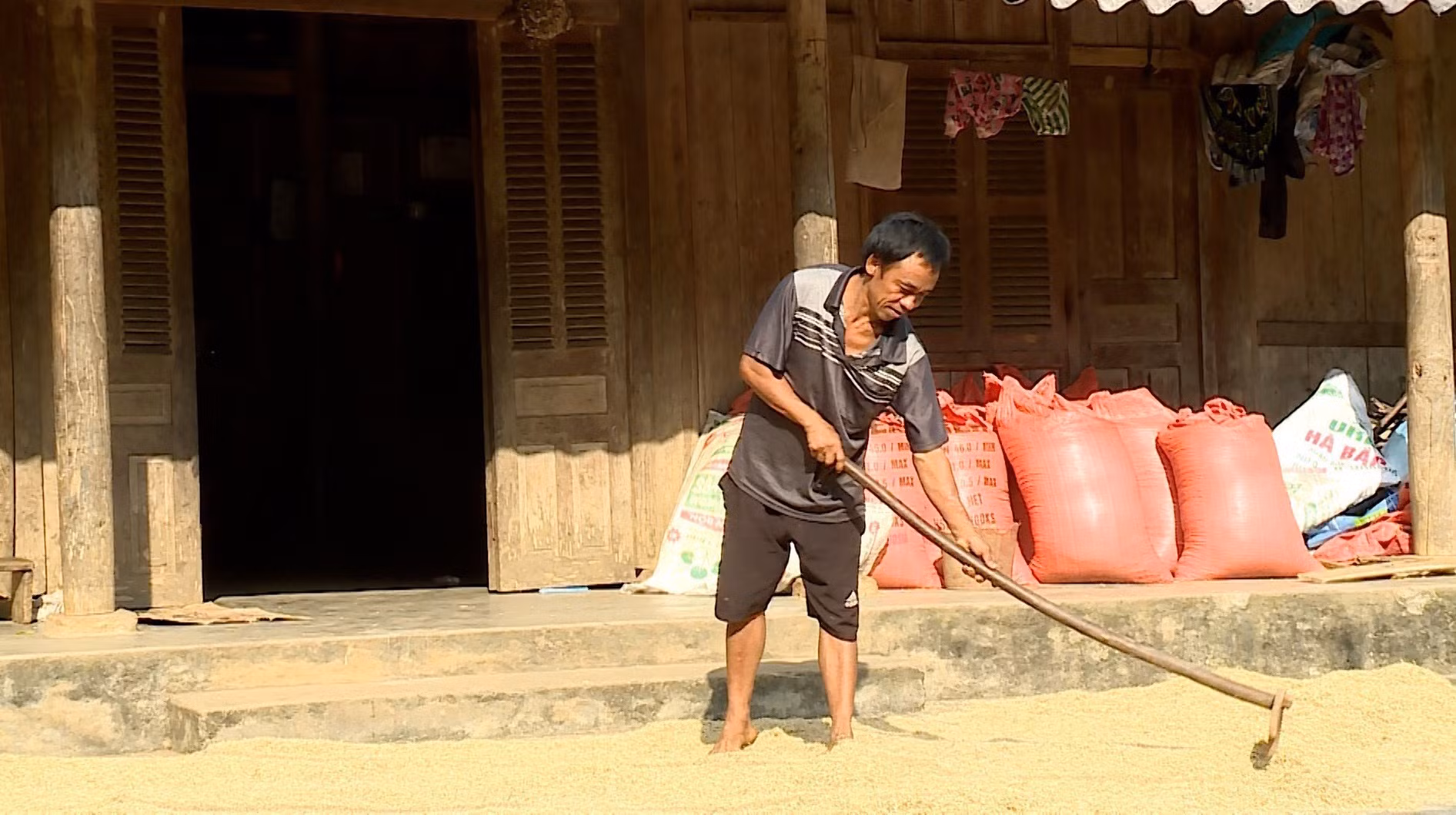 Bình yên trên bản Mông vùng cao Tuyên Quang ảnh 5