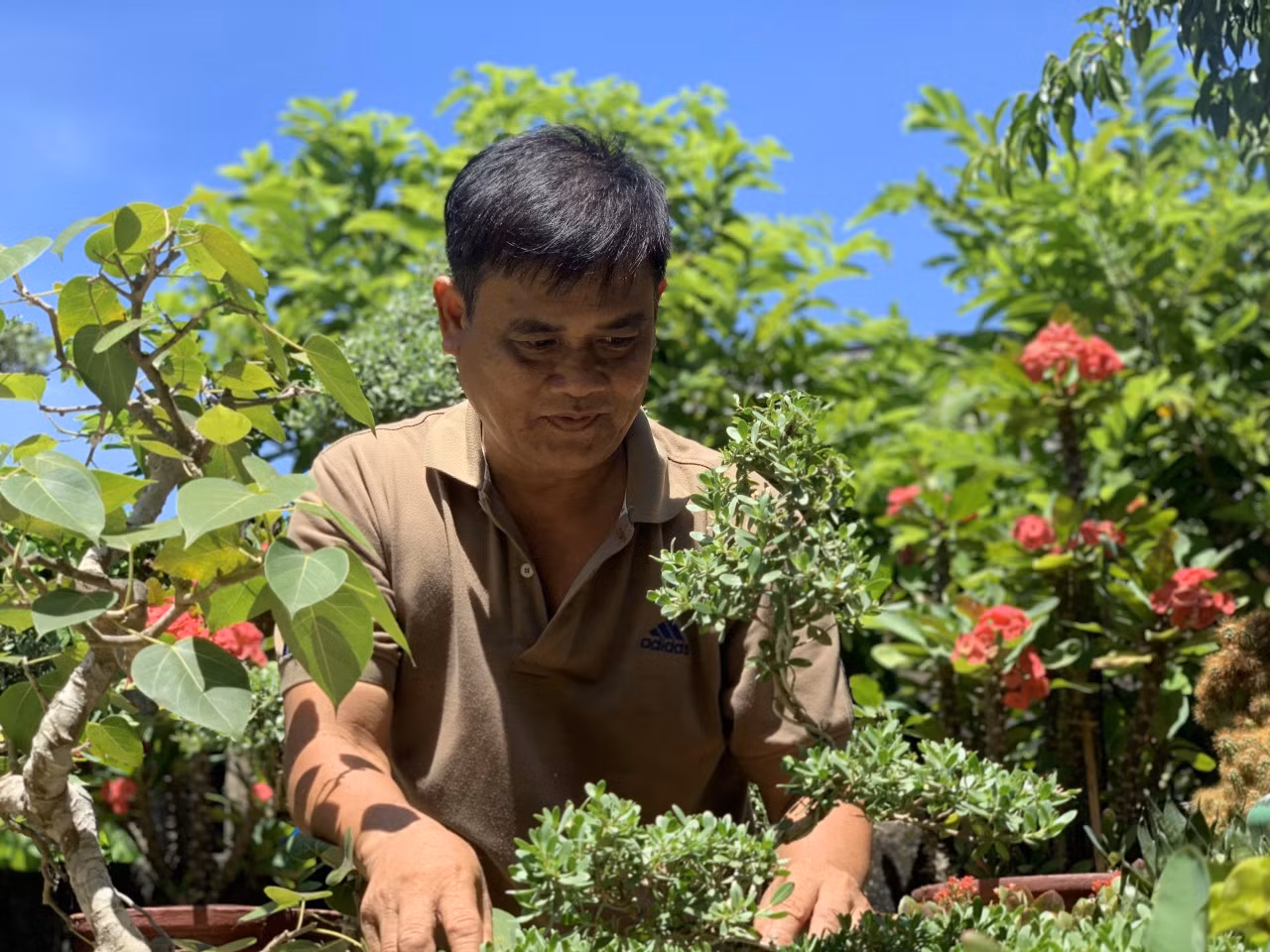 Vất vả mưu sinh nghề lặn biển ở Lý Sơn ảnh 1