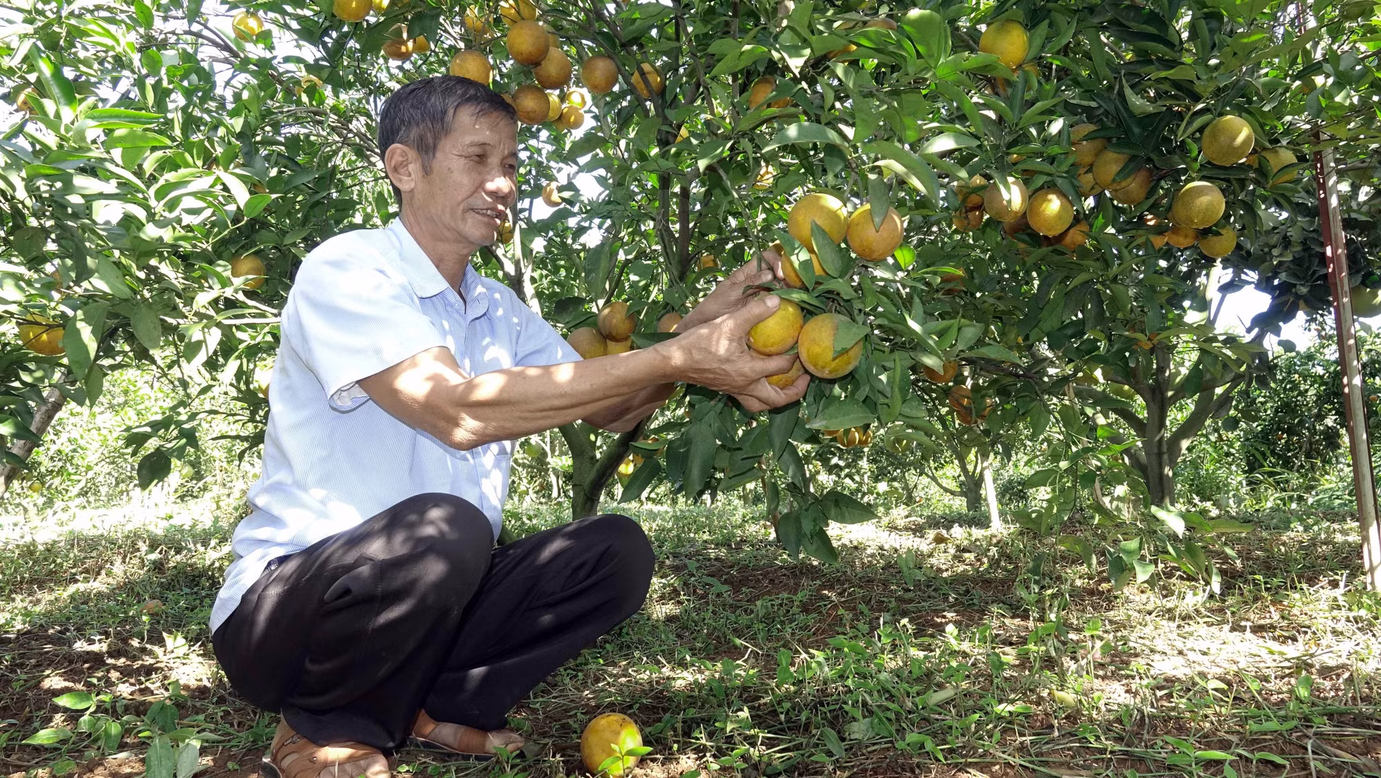 Đổi thay vùng di tích lịch sử “Tập đoàn cứ điểm Nà Sản” ảnh 3