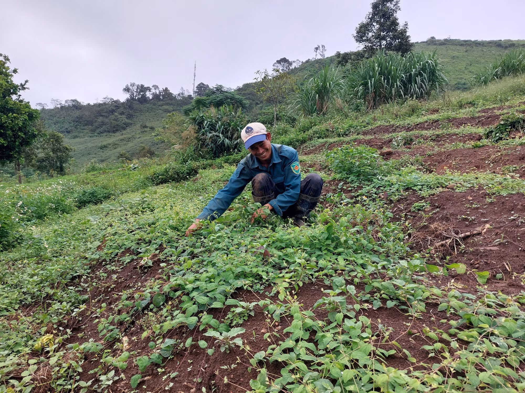 Kon Tum: Thay đổi cách thức lao động, sản xuất giúp đồng bào dân tộc thiểu số vươn lên thoát nghèo ảnh 4