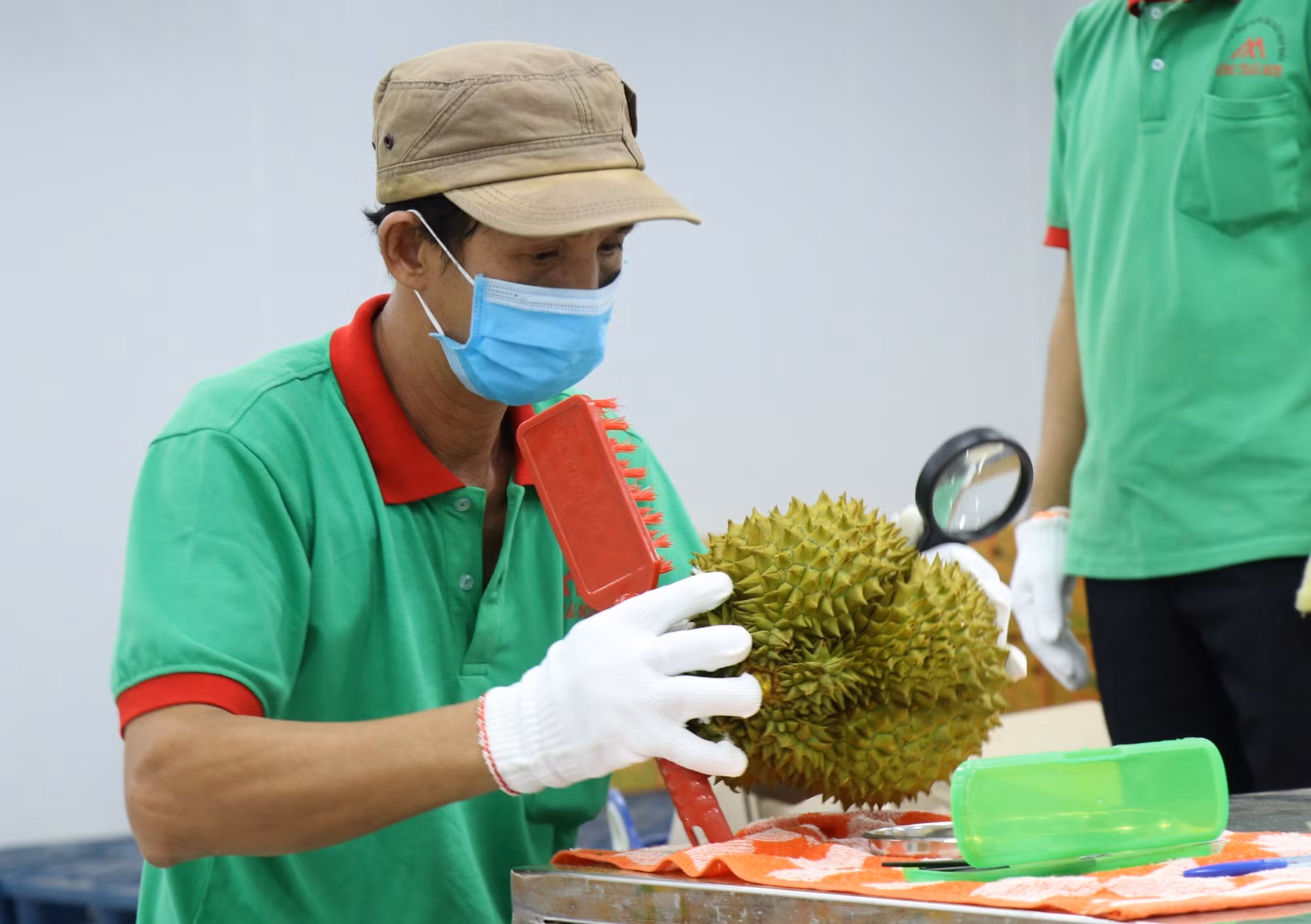 Đắk Lắk: Để “hương sầu riêng” thực sự bay xa ảnh 3