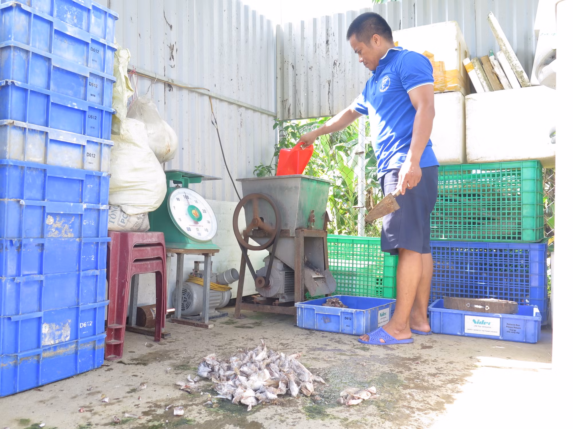 Anh Phạm Văn Hàn mở hướng phát triển kinh tế mới ở vùng cao với nghề nuôi cá quất ảnh 1