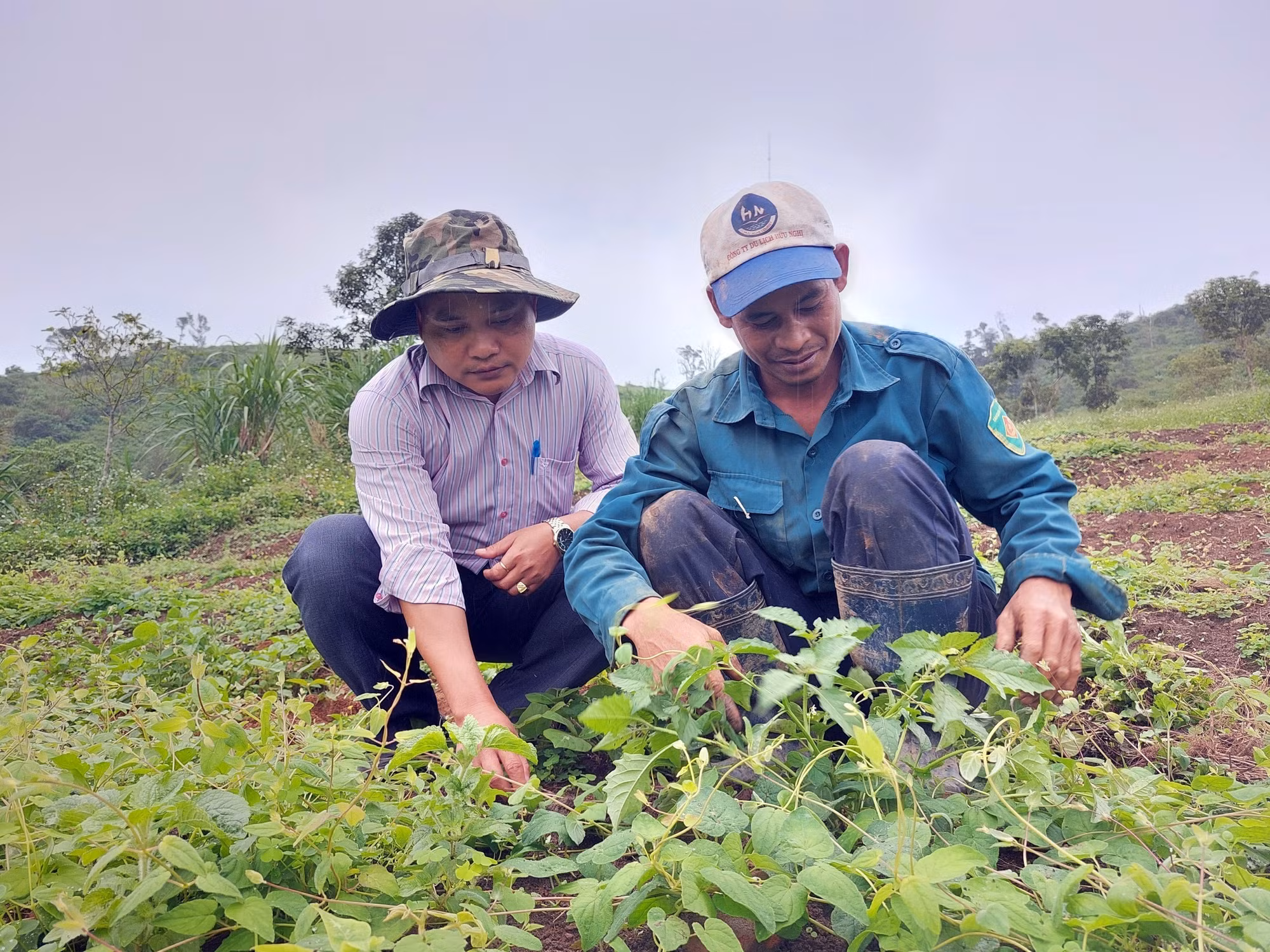 Kon Tum: Thay đổi cách thức lao động, sản xuất giúp đồng bào dân tộc thiểu số vươn lên thoát nghèo ảnh 3