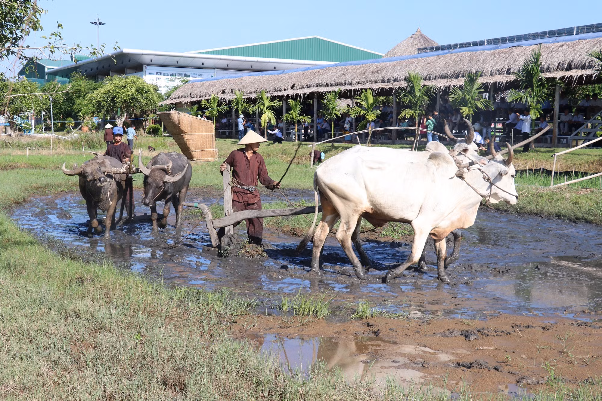 Phát huy giá trị làng nghề truyền thống kết hợp phát triển du lịch địa phương ảnh 1