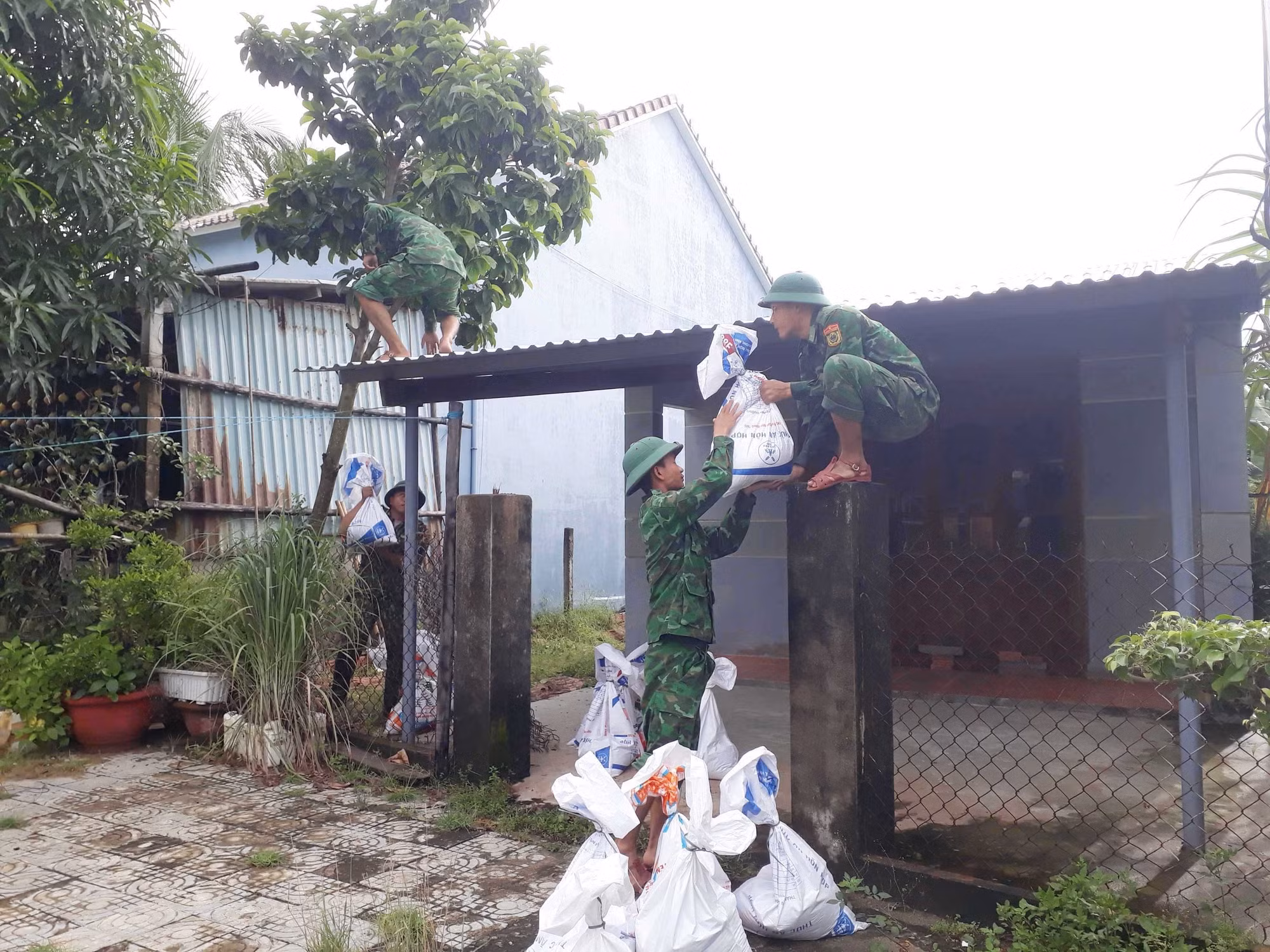 Bão số 4: Quảng Nam đưa người già, phụ nữ, trẻ em xã đảo Tam Hải vào đất liền tránh bão ảnh 2