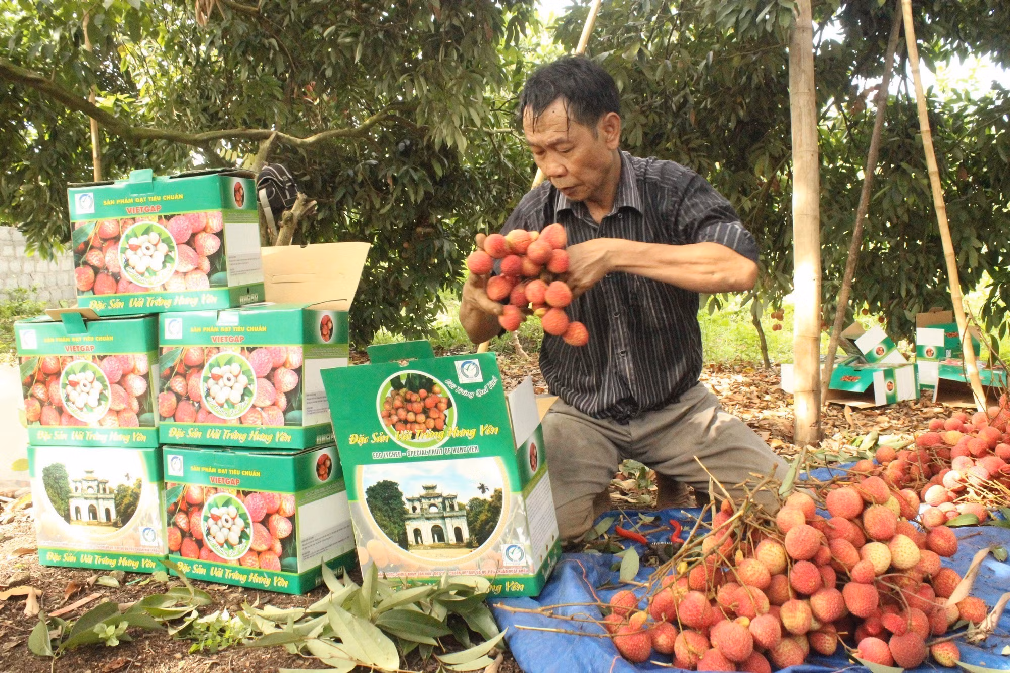 Thiết lập nhiều hình thức tiêu thụ nông sản ảnh 2 Thiết lập nhiều hình thức tiêu thụ nông sản ảnh 2