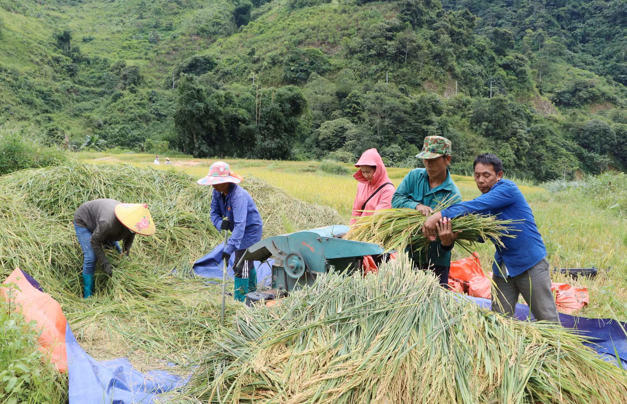 Hỗ trợ bà con dân tộc thiểu số xã biên giới Pa Vệ Sủ thoát nghèo bền vững ảnh 3