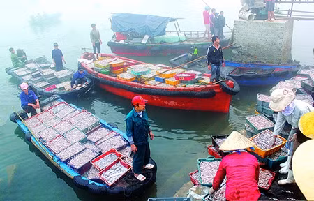Ngay từ sáng sớm, các thuyền đầy ắp cá đã cập bến sẵn sàng cho phiên chợ.