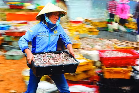 Chị Bùi Thị Vân - ngư dân xã Đảo Nghi Sơn đang nhanh chóng chuyển khay cá về nơi tập kết.