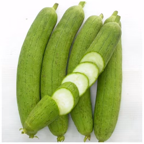 Người dân có thể trồng cây mướp cho gia đình bằng cách áp dụng đúng kỹ thuật trồng cây cơ bản.