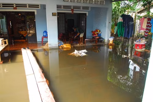 Nước ngập bủa vây nhiều hộ dân tại ấp Trung, xã Tân Thông Hội, huyện Củ Chi, khiến cuộc sống, sinh hoạt và làm ăn của người dân gặp nhiều khó khăn.